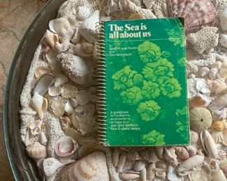 The Sea is About Us, Sea Shell Collection