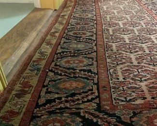 Persian North West Persian, Runner