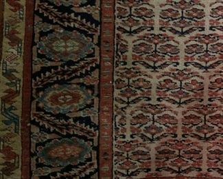 Persian North West Persian, Runner
