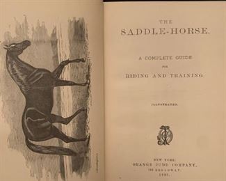 The Saddle Horse, 1885