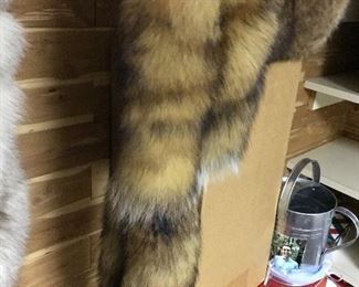 Fox Tails