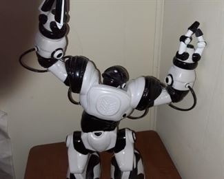 Rockem sockem robot