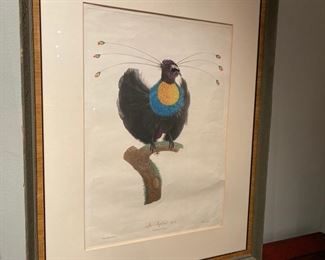 Jacques Barraband ornithological print