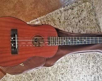 Hilo ukelele