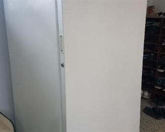 Upright freezer