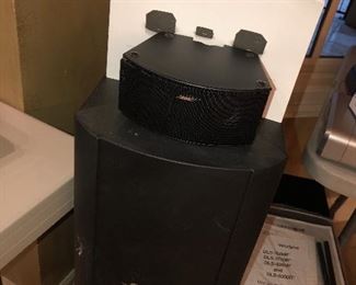 Bose Theater Speaker System