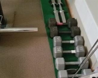 The Weights