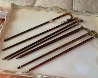 WALKING STICK COLLECTION