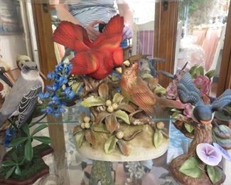 Boehm and other birds