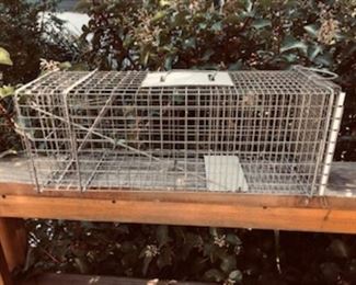 THE... 1 RACCOON CAGE!