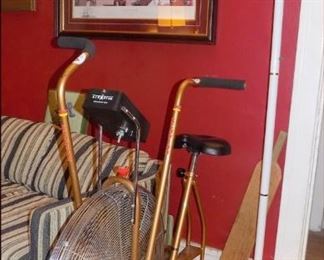 Schwinn Aerodyne Exercise Bicycle