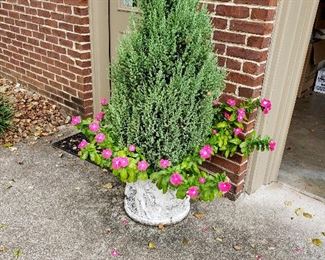 Potted plants
