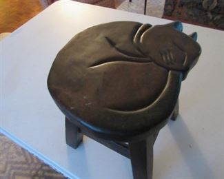 Cat stool