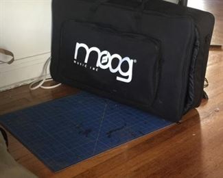 Moog case
