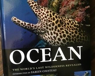 American Museum of Natural History Ocean--World's Last Wilderness Revealed