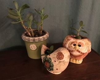 Assortment of 3 planters with succulents/plants