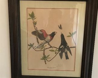 Vintage framed and signed Ray Harm 'Rose-breasted Grosbeak'