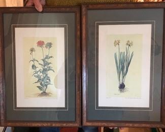 Two of four exceptional floral prints