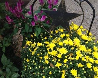 They are pretty to look at, but they're not for sale.