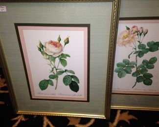 Framed and matted rose prints