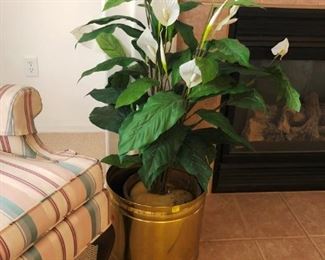Lovely lily in brass planter