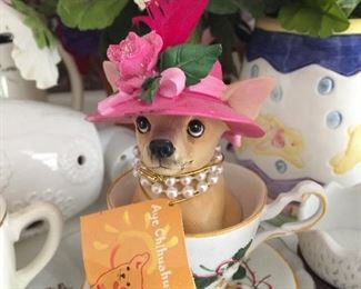 Teacup Chihuahua