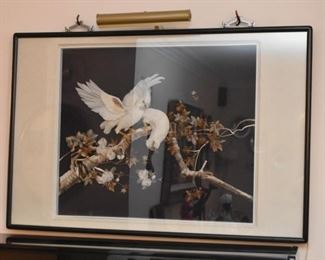 Large Shadowbox / 3-D Artwork with Birds (taxidermy / real feathers?)