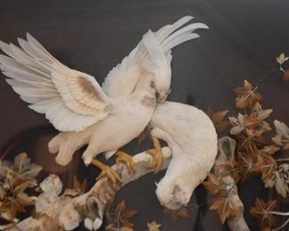 Large Shadowbox / 3-D Artwork with Birds (taxidermy / real feathers?)