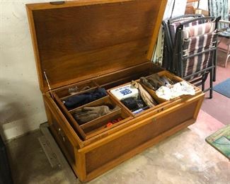 Cedar trunk full of wonderment