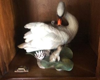 Boehm (one of two Mute Swans)