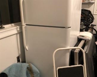 Garage Fridge