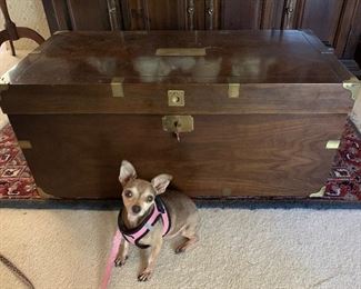 Lane 75th Anniversary Ltd. Ed. cedar chest (Chihuahua not included) 😊