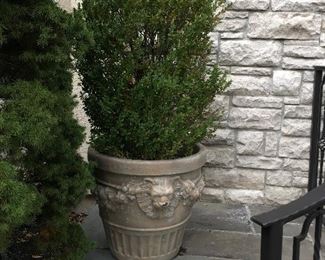 Outdoor Pots