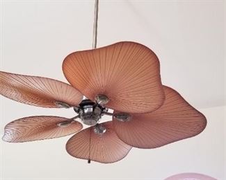 Great fan by Bahama Breeze!