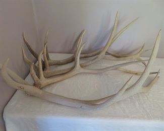 4 Elk Antlers