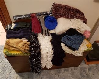 Lot of Winter Accessories