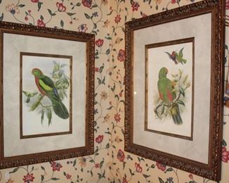 artwork parrots