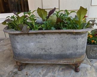 One of the pair of galvanized planters - you'll have mustard greens for months!