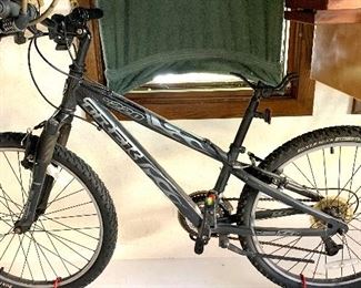 Trek 220 bike