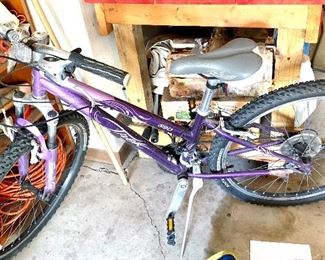 Trek girls bike