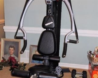 Inspire M2 Home Gym ($2,400+ retail). Free standing gym - available for immediate purchase. Free weights, ankle weights, weight belts and other exercise items