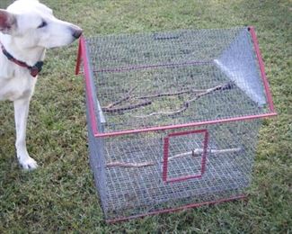 Large bird cage