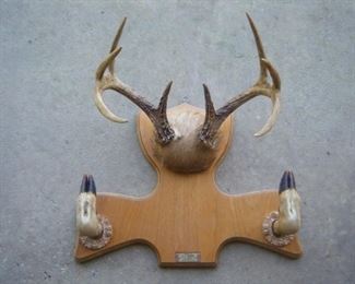 gun coat rack