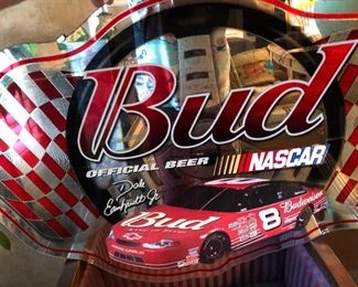 Dale Earhart Jr. #8