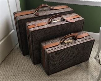 Vintage luggage cases