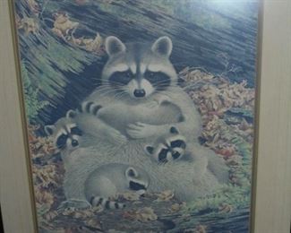 Matted & framed picture of raccoon family