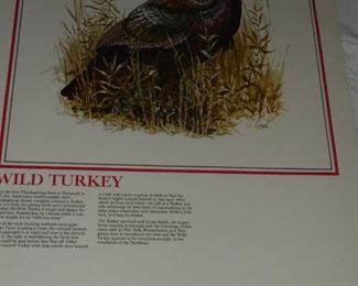 Prints: Wild Turkey