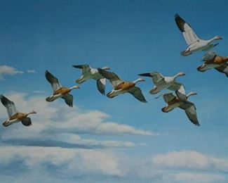 8 ducks in flight