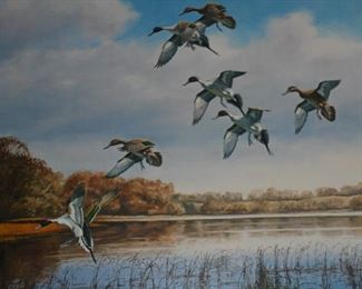 Ducks landing in Pond  Maass