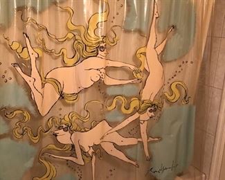 How cool is this Shower Curtain!